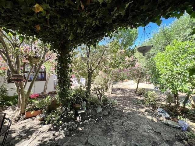 Casa Del Mar En Primera Linea De Playa El Palmar Kadyks Zewnętrze zdjęcie